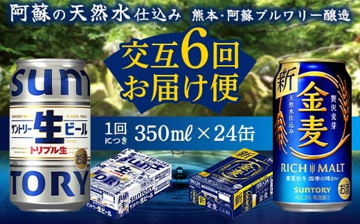 FKK19-963 【サントリー生ビール・金麦交互6回定期便】各350ml ×24本 ギフト 贈り物 酒 アルコール 1518954 - 熊本県嘉島町