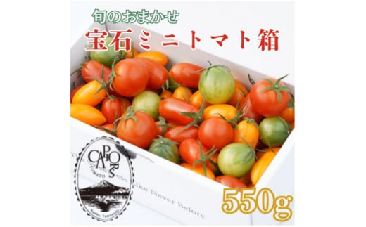 ＜カピオトマト＞旬のおまかせ宝石ミニトマト箱 550g(旧マルファーム)【1460248】 1129647 - 山梨県南部町