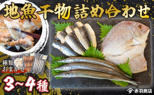 おまかせ 地魚 ひもの 詰合せ 南知多産 3~4種 冷凍 旬 鮮魚 干物 鯛 イワシ タチウオ 鰯 味醂 干し フグ サヨリ 河豚 鱧 みりん 醤油 タイ ハモ しょうゆ キス 太刀魚 季節 海鮮 新鮮 おかず 乾き物 つまみ 魚貝 魚 丸干し 魚介 詰め合わせ さかな つめあわせ 簡単 セット 人気 おすすめ 愛知県 南知多町 1460253 - 愛知県南知多町