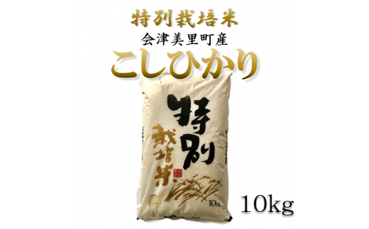 特別栽培米　会津美里町産コシヒカリ　10kg　※2024年12月上旬頃から順次発送予定 995289 - 福島県会津美里町