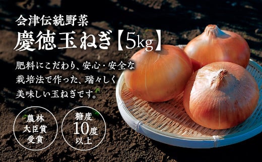 会津伝統野菜　「慶徳玉ねぎ」5kg　【07208-0223】 232065 - 福島県喜多方市