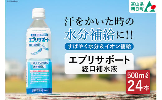 飲料 エブリサポート 経口補水液 500ml 24本 1ケース [広貫堂 富山県 朝日町 34310395] ドリンク 水分補給 スポーツ飲料 スポーツドリンク 熱中症対策 暑さ対策 ペットボトル まとめ買い 1422852 - 富山県朝日町