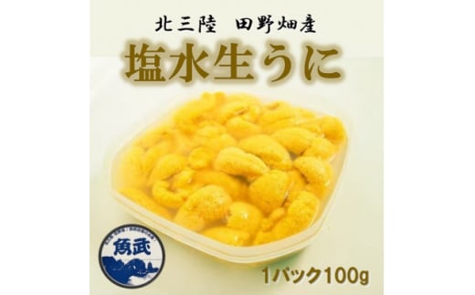 ＜令和7年6月～順次発送＞岩手県田野畑産　無添加塩水生うに100g　産地直送【1513025】