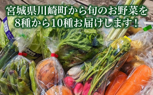 宮城県川崎町から旬のお野菜を8種から10種お届けします！　【04324-0317】