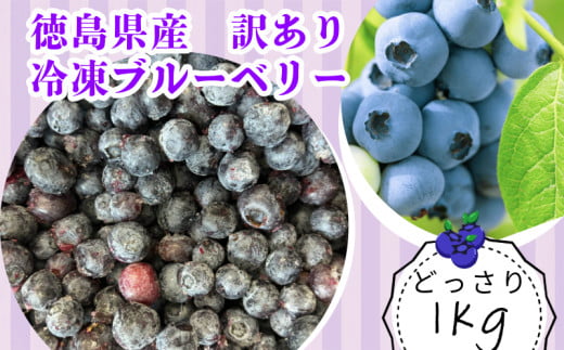 【訳あり】 冷凍 ブルーベリー 1kg 産地直送 新鮮 人気 果物 おすすめ フルーツ 四国 徳島 小松島 【送料無料】|  産地 直送 新鮮 夏 アイス シャーベット ソフトクリーム ジュース スムージー ヨーグルト 朝食 旬 ふるさと納税ブルーベリー ふるさとブルーベリー　