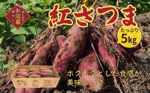 040-09-1 【お歳暮に】さつまいも「紅さつま」5kg