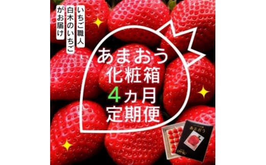 定期便 4ヶ月 いちご いちご職人 白木のいちご あまおう 化粧箱 1箱 4回 コース イチゴ 苺 果物 デザート お楽しみ ※配送不可：沖縄・離島・北海道・東北 1517387 - 福岡県小郡市