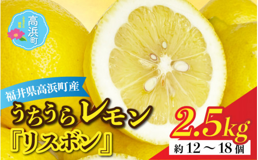 【先行予約】日本海で育ったうちうらレモン「リスボン2.5kg」皮まで丸ごと食べられます！（農薬不使用）【12月下旬より順次発送】 1290760 - 福井県高浜町