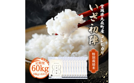 【定期便】令和6年産 新米 精米 ブランド米「いざ初陣」10kg（1kg×10個）を6カ月食味値85以上 整粒歩合80%以上【0122501】 692065 - 宮城県丸森町