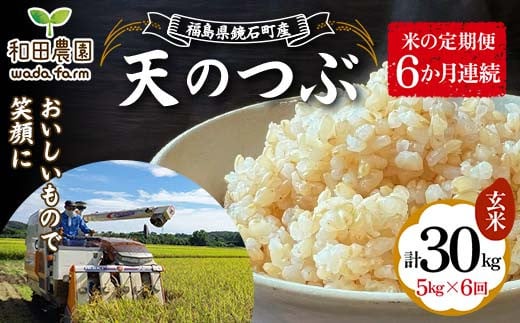 【米の定期便】福島県鏡石町産 和田農園「天のつぶ」玄米5kg 6か月連続 F6Q-207 1517933 - 福島県鏡石町