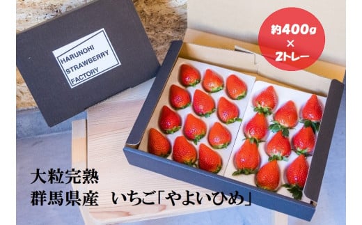 R3-31  大粒完熟　群馬県産いちご「やよいひめ」４００ｇ×２ 292516 - 群馬県前橋市