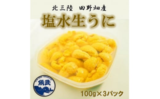 ＜令和7年6月下旬～順次発送＞岩手県田野畑産 無添加塩水生うに 100g×3パック 産地直送【1536901】