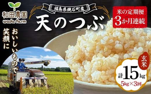 【米の定期便】福島県鏡石町産 和田農園「天のつぶ」玄米5kg 3か月連続 F6Q-203 1517931 - 福島県鏡石町