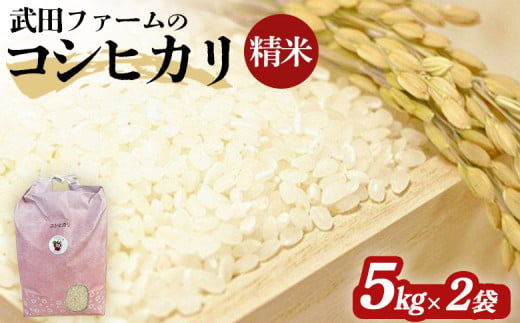 【令和6年産】 南相馬 コシヒカリ 精米 5ｋｇ×2袋 5キロ×2袋 武田ファーム 精米 白米 玄米 コメ ブランド米 食感 ツヤ 銘柄 炊き上がり 福島 福島県産 送料無料 ふるさと納税 オンライン申請【1600401】 553440 - 福島県南相馬市