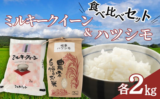 ≪令和６年産≫ 新米 【食べ比べセット】ミルキークイーン ハツシモ 各２kg【美濃産米】 864573 - 岐阜県垂井町