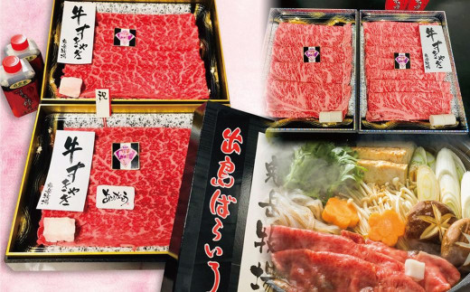 【全2回定期便】長崎和牛 出島ばらいろ レギュラータイプ M ／ 和牛 国産 肉 牛肉 お肉 サーロイン モモまたはウデ すき焼き しゃぶしゃぶ 長崎県 長崎市 1516869 - 長崎県長崎市