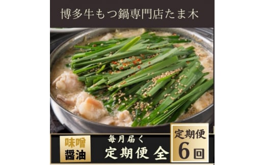 ＜毎月定期便＞＜博多牛もつ鍋専門店たま木＞牛もつ鍋セット みそ味・醤油味(2～3人前)全6回【4057711】 1517079 - 福岡県大野城市