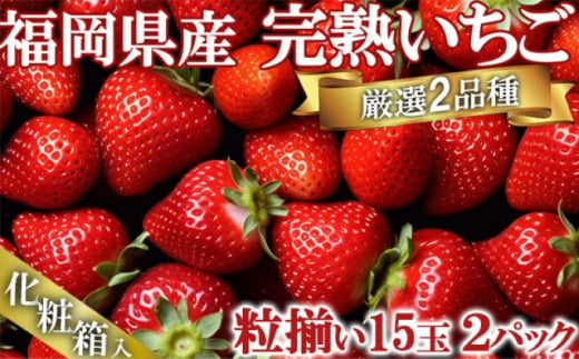 いちご いただきいちご園 食べ比べ 厳選 2品種 粒ぞろい (15玉入り×2パック) 化粧箱入 果物 デザート イチゴ 苺 1517373 - 福岡県小郡市