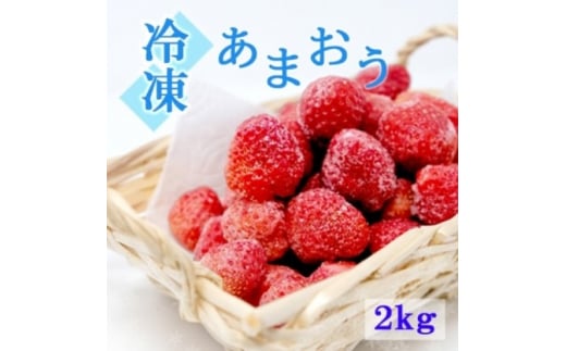 いちご 白木のいちご 旬のおいしさそのまま 冷凍 あまおう 2kg (500g×4P) イチゴ 苺 果物 デザート ※配送不可：沖縄・離島 1517383 - 福岡県小郡市