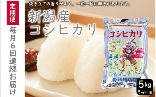 こしひかり 新潟産 コシヒカリ 5kg  毎月6回 連続でお届けします。定期便 米 お米 こめ コメ ごはん 新潟 白米 コシヒカリ ブランド米 銘柄米 お取り寄せ 産地直送 1517220 - 新潟県新潟市