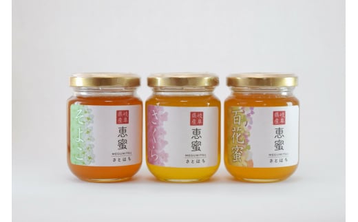 恵那農高生と開発!季節の里山蜂蜜セット(蜂蜜120g×3本)/ はちみつ ハチミツ ハニー 養蜂 / 恵那市 / 特定非営利活動法人 さとはち [AUBP001] 731086 - 岐阜県恵那市