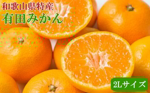 [秀品]和歌山有田みかん　9kg(2Lサイズ) ※2025年11月中旬～2026年1月中旬頃順次発送【tec831A】