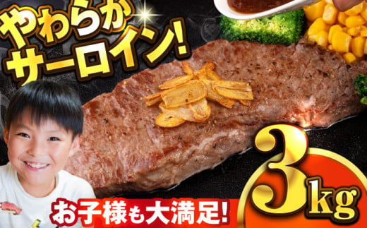 【訳あり】サーロインステーキ 牛肉 3kg 訳アリ 肉 さーろいん ジューシー やわらか 人気 冷凍 バーベキュー BBQ キャンプ ステーキ 横須賀 クリスマス くりすます【コロワイドMD神奈川工場】 [AKAH006] 1526105 - 神奈川県横須賀市