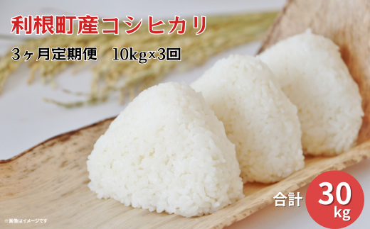 【3ヵ月定期便】利根町産コシヒカリ　精米10kg×3回 488841 - 茨城県利根町