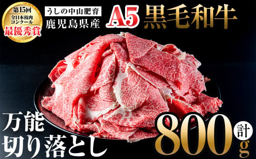 ＜A5等級＞鹿児島県産 黒毛和牛万能切り落とし(計800g /400g×2P) 黒毛和牛 和牛 切り落とし 肉 牛肉 国産 九州産 鹿児島県産 すき焼き しゃぶしゃぶ 小分け A5 日本一 ランキング 人気 a3-210 1515621 - 鹿児島県志布志市