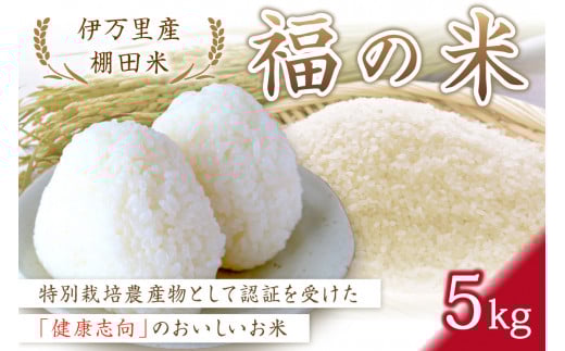 令和6年産 特別栽培 伊万里産 棚田米「福の米」5kg B669 216711 - 佐賀県伊万里市