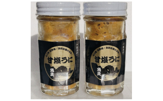 北三陸田野畑産 熟成甘塩うに 2本【1546855】