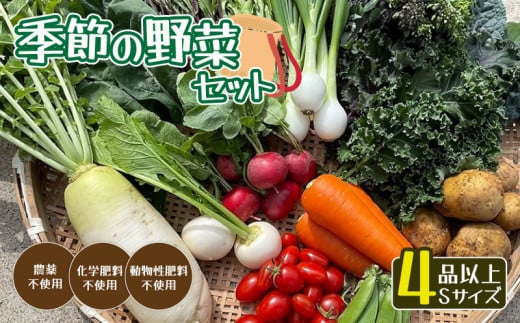 無農薬 季節の野菜セットS（約2kg）【 国産 旬 季節の野菜 詰め合わせ セット 農薬不使用 無農薬 産地直送 京野菜 京都 綾部 】 749323 - 京都府綾部市