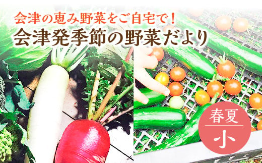 会津発季節の野菜だより（小・春夏）　【07208-0256】 864352 - 福島県喜多方市