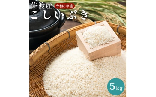 佐渡島産　こしいぶき　5kg　令和６年産 1515684 - 新潟県佐渡市