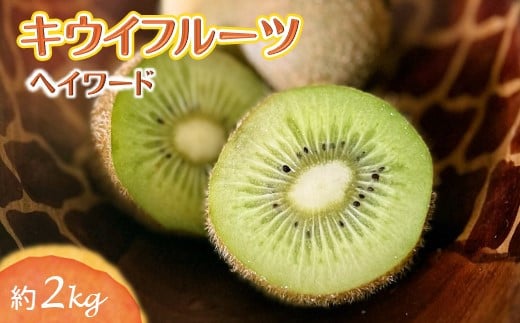 しろいのキウイ 約2kg ヘイワード 15～17個 【11月下旬から発送】 1250091 - 千葉県白井市