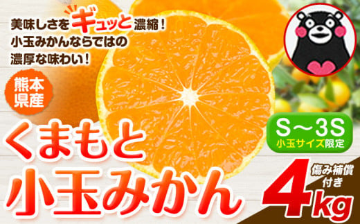 熊本県玉東町のふるさと納税 最短7日発送！ 訳あり みかん 小玉みかん くまもと小玉みかん 4kg  秋 旬 不揃い 傷 ご家庭用 SDGs 小玉 たっぷり 熊本県 産 S-3Sサイズ フルーツ 旬 柑橘 熊本県産 温州みかん《7-14日以内に出荷予定(土日祝除く)》 早く届く