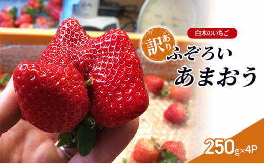 訳あり いちご いちご職人 白木のいちご あまおう ふぞろいな「いちご」たち 250g×4P 訳アリ イチゴ 苺 果物 デザート ※配送不可:沖縄・離島・北海道・東北