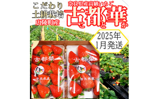 [2025年1月発送]こだわりの土耕栽培 奈良県産いちご[古都華]農家直送!2パック入り