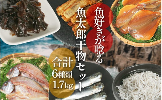 干物セット 6種 1.7kg 冷凍 セット 詰め合わせ 鯛 タイ たい 鯖 サバ さば ふぐ フグ ちりめん わかめ 佃煮 干物 ひもの ひものセット 冷凍干物 冷凍ひもの ふるさと納税干物 ふるさと納税ひもの ふるさと納税ふぐ ふるさと納税フグ 冷凍ふぐ 冷凍フグ 冷凍サバ 冷凍鯖 冷凍さば 冷凍ちりめん ふるさと納税ちりめん 冷凍わかめ ふるさと納税わかめ 愛知県 南知多町