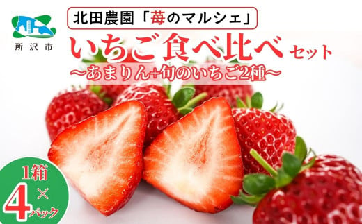 [先行予約/数量限定] 苺マルシェ 旬のいちご食べ比べセット 1箱(4パック入り) 所沢北田農園 | 埼玉県 所沢市 苺 いちご ストロベリー あまりん かおりん べにたま あきひめ 甘い 濃厚 おいしい ジューシー 果物 フルーツ 産地直送 フレッシュ 人気 おすすめ デザート お取り寄せ 贈り物 高級