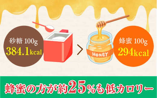 2025年6月中旬以降順次発送です】岩湧ハニー(百花、純粋はちみつ) 500ｇ×1本 - 大阪府河内長野市｜ふるさとチョイス - ふるさと納税サイト