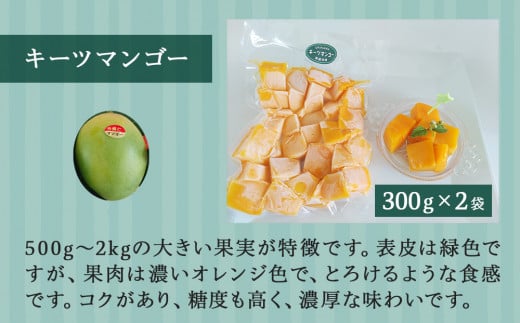 沖縄県今帰仁村のふるさと納税 急速冷凍カットマンゴー　キーツ300g×２（限定80セット）【沖縄県今帰仁村産】