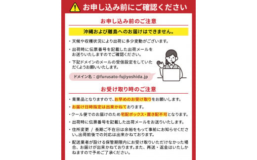 山梨県富士吉田市のふるさと納税 【2025年先行予約】山梨県産シャインマスカット3kg フルーツ 山梨県産 果物 旬 高級 先行予約 2025年 ぶどう 山梨 富士吉田市