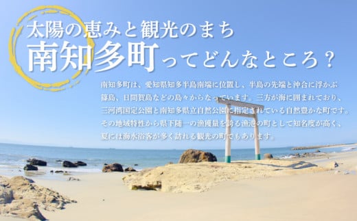 容量 選べる 】天然 活バイ貝 約 1~2kg 冷蔵 南知多町産 国産 貝 調理 塩ゆで ボイル 貝 うま煮 煮物 バイ貝 炊き込み ご飯 ごはん 貝  バイ貝 ボンゴレビアンコ 料理 新鮮 海鮮 魚介 バイ貝 魚貝 バイガイ ふるさと納税貝