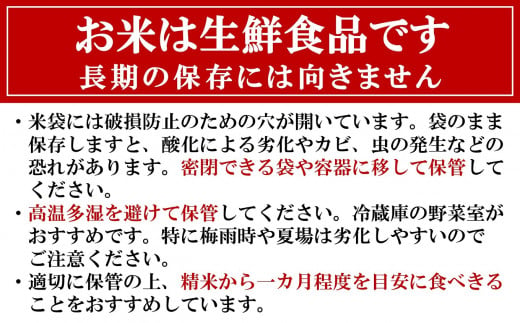 新潟県柏崎市のふるさと納税 令和6年産新米【五ツ星お米マイスター厳選】新之助 白米 6kg（2kg×3袋）[Y0235]