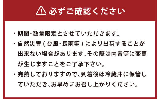 ＜宮崎県 完熟マンゴー 太陽のタマゴ 4L×2玉(合計 約1kg)＞