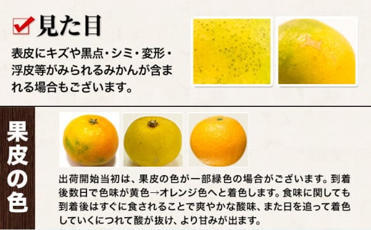 熊本県玉東町のふるさと納税 最短7日発送！ 訳あり みかん 小玉みかん くまもと小玉みかん 4kg  秋 旬 不揃い 傷 ご家庭用 SDGs 小玉 たっぷり 熊本県 産 S-3Sサイズ フルーツ 旬 柑橘 熊本県産 温州みかん《7-14日以内に出荷予定(土日祝除く)》 早く届く