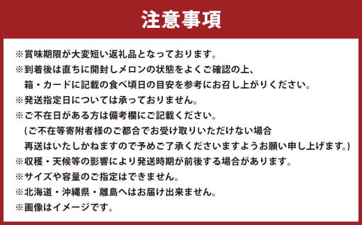 静岡県産 高級 アローマメロン 白等級 2玉 約2.0kg以上 果物 フルーツ メロン めろん