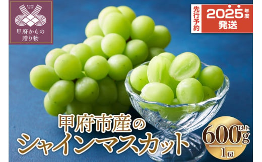 先行予約・数量限定〈2025年度配送分〉甲府市産 シャインマスカット 1房（600g以上）【2025年8月下旬以降発送】 シャインマスカット 山梨 シャイン 1房 600g ぶどう 種なし フルーツ 冷蔵 山梨 生産量日本一 甲府市産 1270773 - 山梨県甲府市