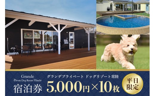 グランデ プライベート ドッグリゾート常陸宿泊券 5,000円×10枚（平日限定） 愛犬 ペットOK ドッグラン プール 温泉 サウナ ホテル チケット 宿泊 旅行 宿泊券 旅行券 72-C 1381627 - 茨城県小美玉市